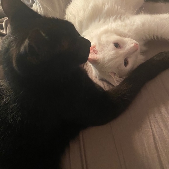 Hello Guys & Dolls! I’m Tracy💁🏼‍♀️ - Picture 10 of 12